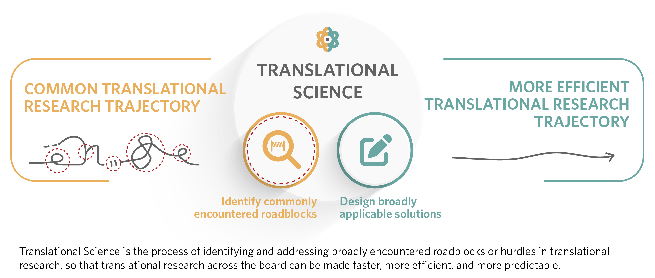 translational science diagram