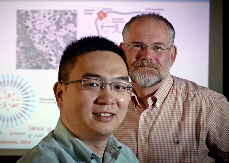 Zhen Gu, PhD (front) & John Buse, MD, PhD