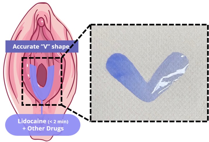 schematic of lidocaine-coated film