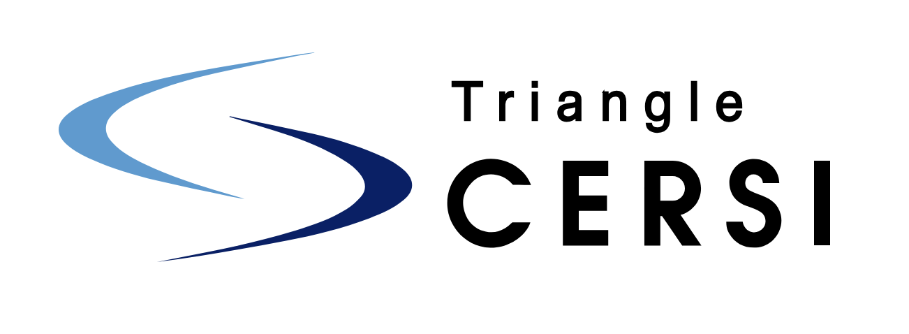 Triangle CERSI logo