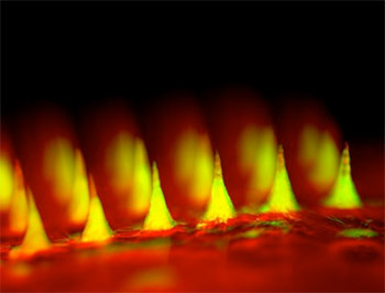 Microneedle patch - Courtesy of Zhen Gu, PhD