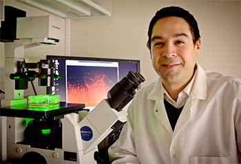 Cell biologist Shawn Hingtgen, Ph.D., in his lab