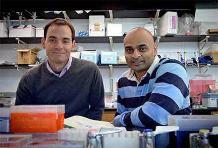Charles Gersbach, PhD & Aravind Asokan, PhD in the lab