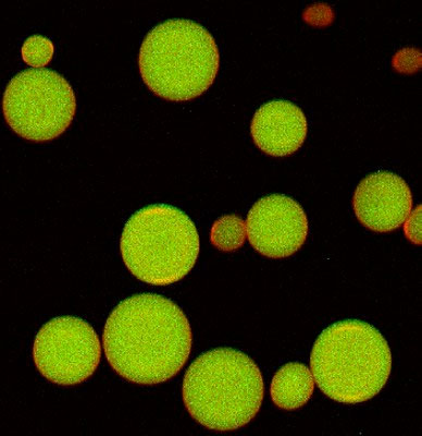 Zhen Gu_artificial beta cells