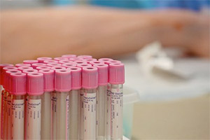 New course teaches phlebotomy basics New course teaches phlebotomy basics