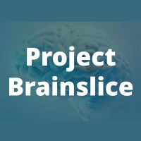 Project Brainslice